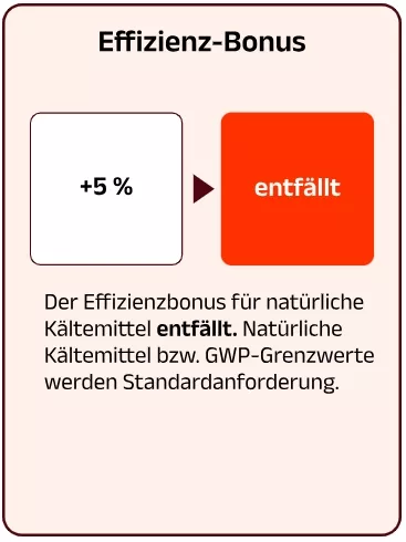 Effizienz-Bonus